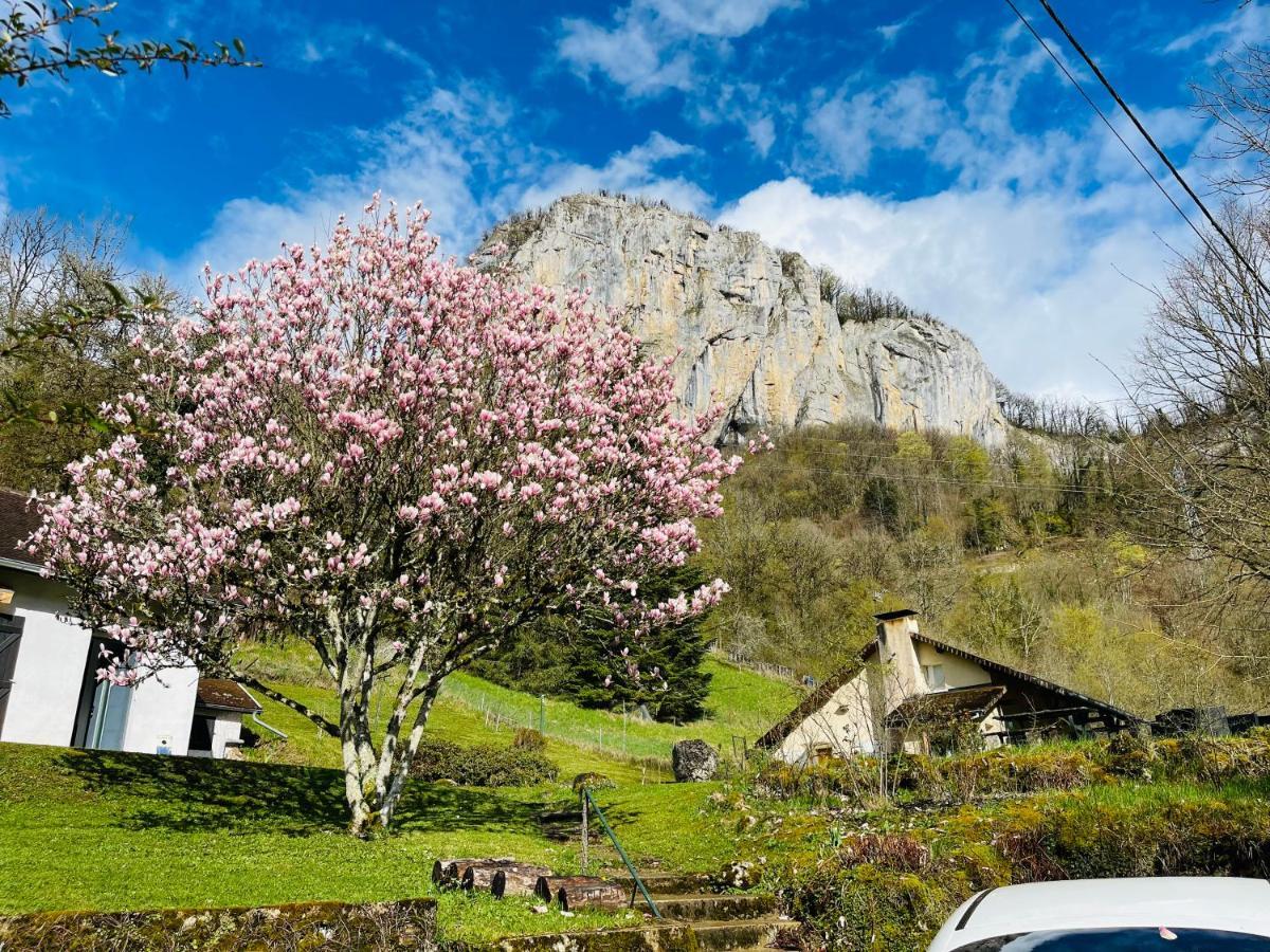 Superbe Villa Apaisante, Vue Sur La Loue Mouthier-Haute-Pierre Buitenkant foto